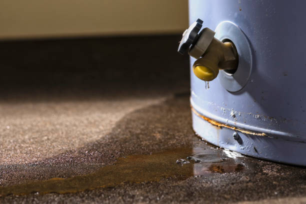 Best Sewage cleanup and water damage restoration  in Atwood, TN