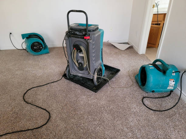 Best Water damage restoration experts  in Atwood, TN