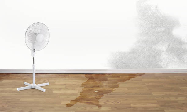 Best 24/7 water damage repair  in Atwood, TN