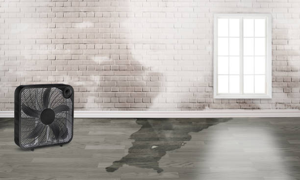 Best Water damage restoration near me  in Atwood, TN