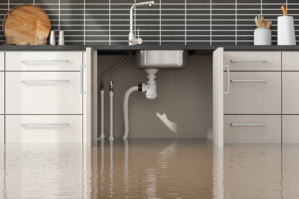 Best Water damage cleanup near me  in Atwood, TN