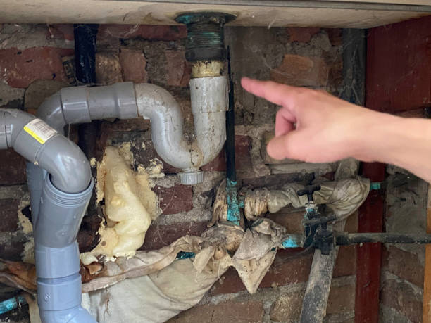 Best Water damage restoration cost  in Atwood, TN