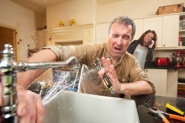 Best Water damage contractors near me  in Atwood, TN